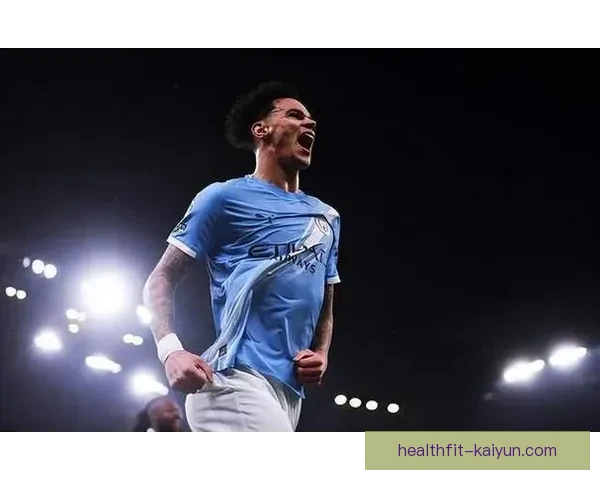 富勒姆本赛季表现稳健，近期状态持续提升